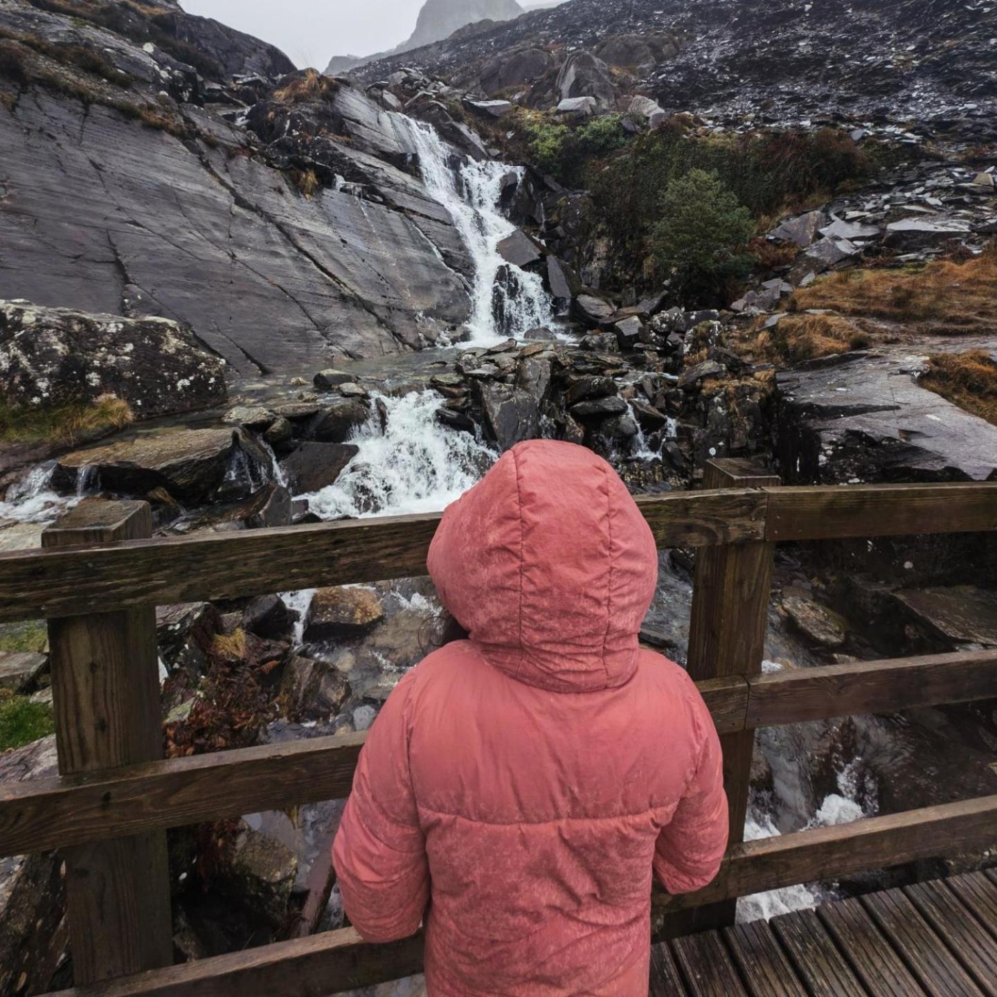 Thistledonia Trawsfynydd Eksteriør bilde