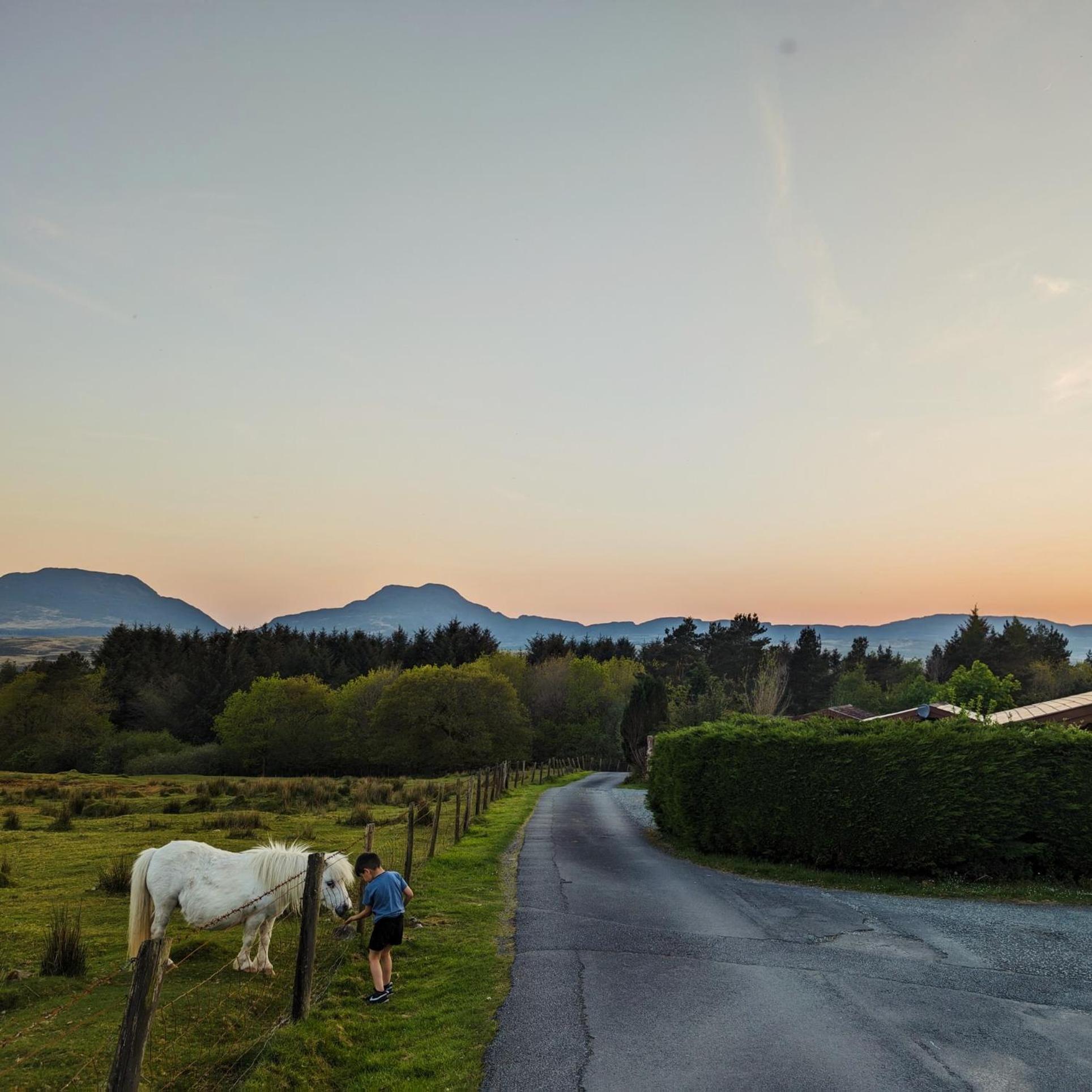 Thistledonia Trawsfynydd Eksteriør bilde
